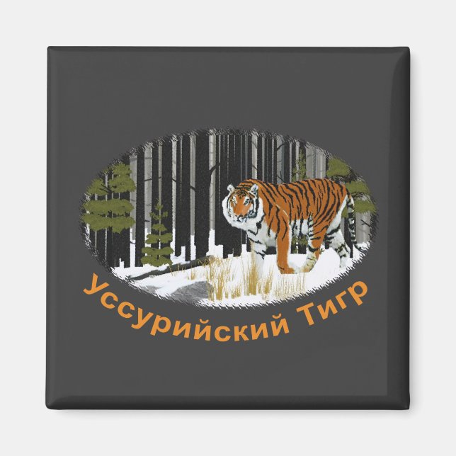 Aimant Tigre de Sibérie (Devant)