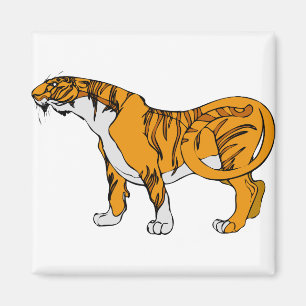 Aimant Tigre du Bengale