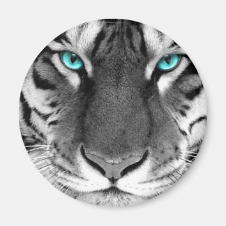 Aimant Tigre noir blanc