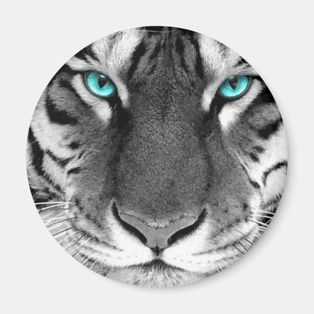 Aimant Tigre noir blanc (Devant)