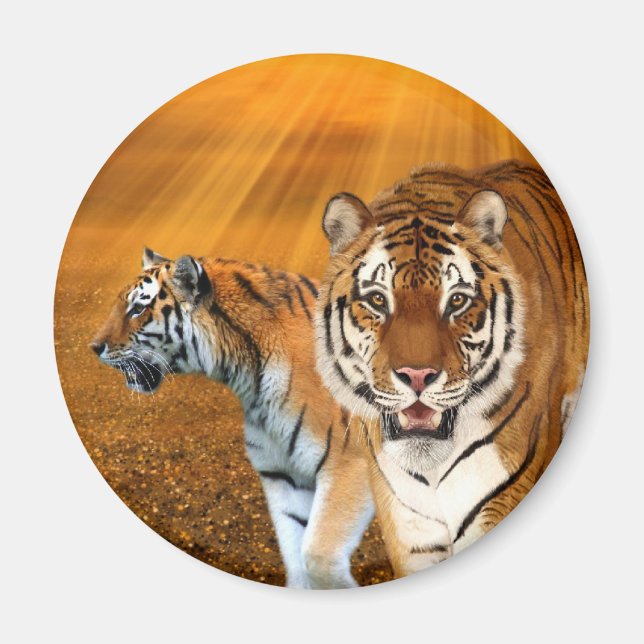 Aimant Tigres (Devant)