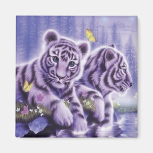 Aimant Tigres