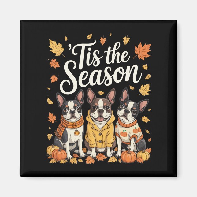 Aimant Tis The Season Boston Terrier Fall Autumn Pumpkin  (Devant)