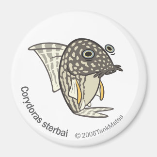 Aimant TM-08-Corydoras sterbai