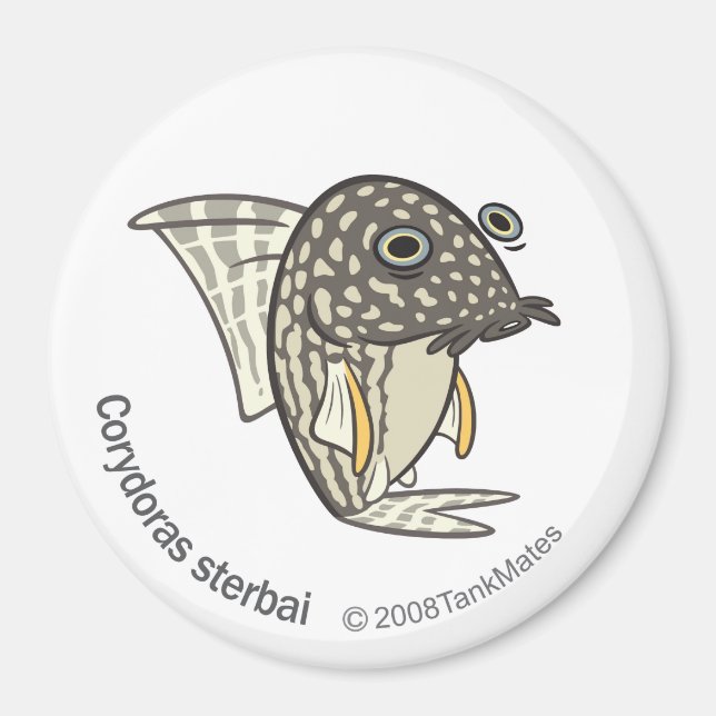 Aimant TM-08-Corydoras sterbai (Devant)