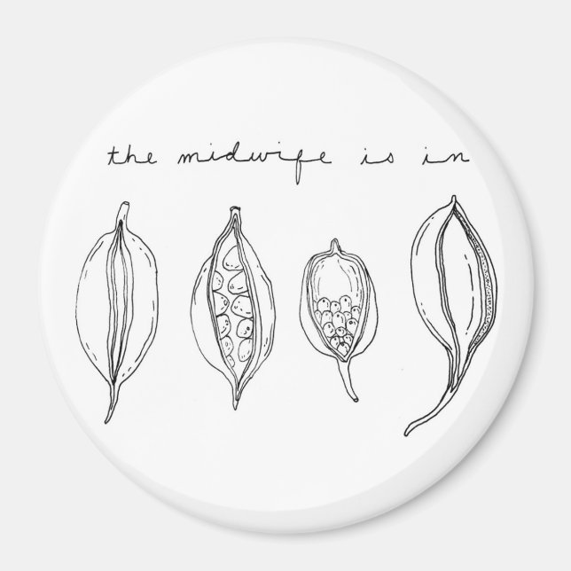 aimant TMII (Devant)