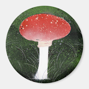 Aimant Toadstool Champignon dans les environs de la mouss