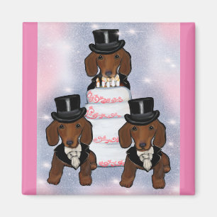 Aimant Toilettage de Doxie Rouge