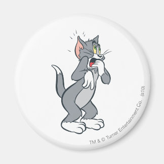Aimant Tom Choqué