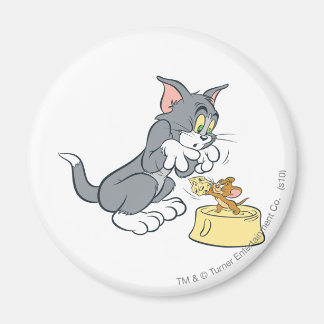 Aimant Tom et Jerry nourrissent le chat