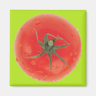 Aimant Tomate juteuse