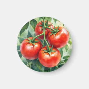 Aimant Tomate mûre sur vigne aquarelle fraîche