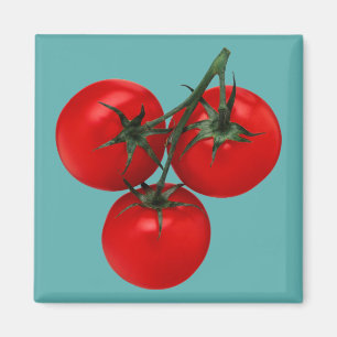 Aimant Tomates