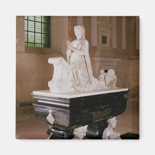 Aimant Tombe de Diane De Poitiers