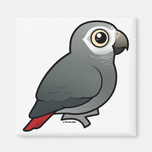 Aimant Tomneh African Grey Parrot