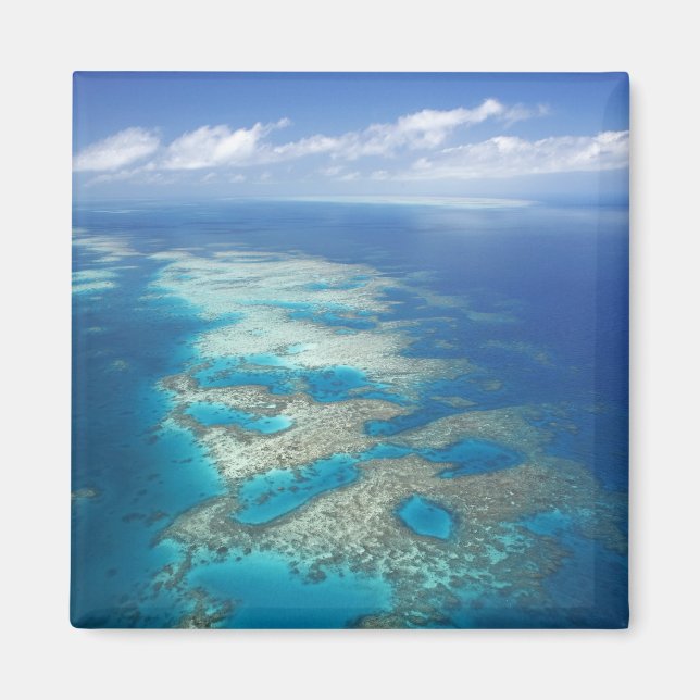 Aimant Tongue Reef, parc marin de la Grande Barrière de c (Devant)