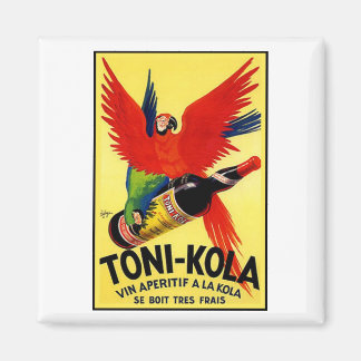 Aimant Toni-Kola