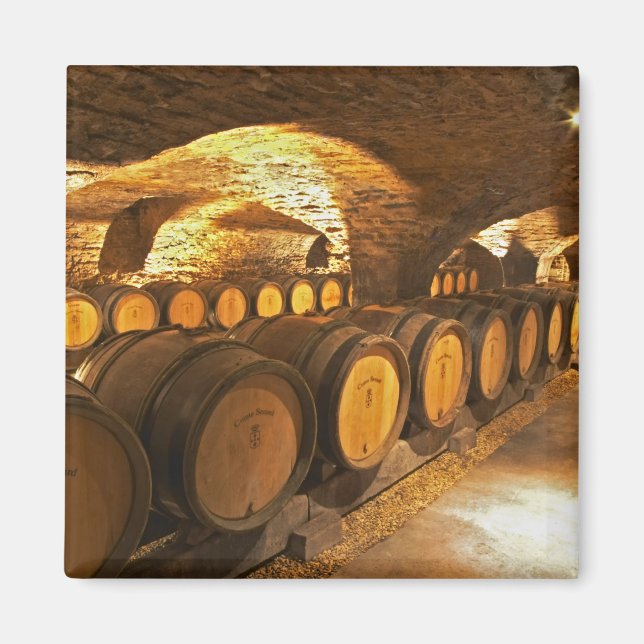 Aimant Tonneaux de chêne dans la cave au Domaine Comte (Devant)