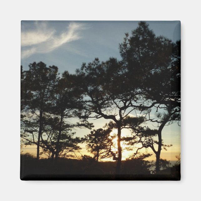 Aimant Torrey Pine Sunset II Californie Paysage (Devant)