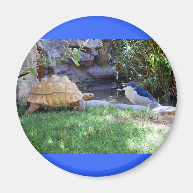 Aimant Tortoise et Blue Jay Friends (Devant)