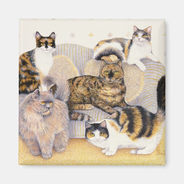 Aimant Tortoiseshell dames (Devant)