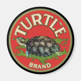 Aimant Tortue