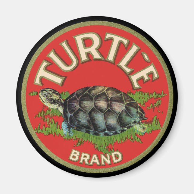 Aimant Tortue (Devant)