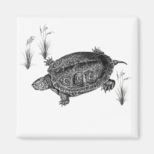 Aimant Tortue aquatique noire et blanche