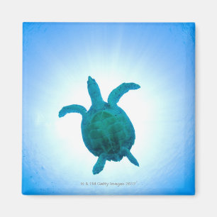 Aimant Tortue de mer nageant sous l'eau