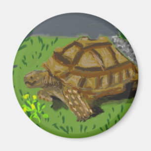 Aimant Tortue de Sulcata