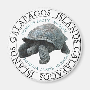 Aimant Tortue des îles Galapagos