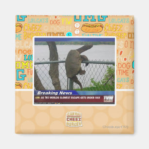 Aimant Tortue d'Excaping