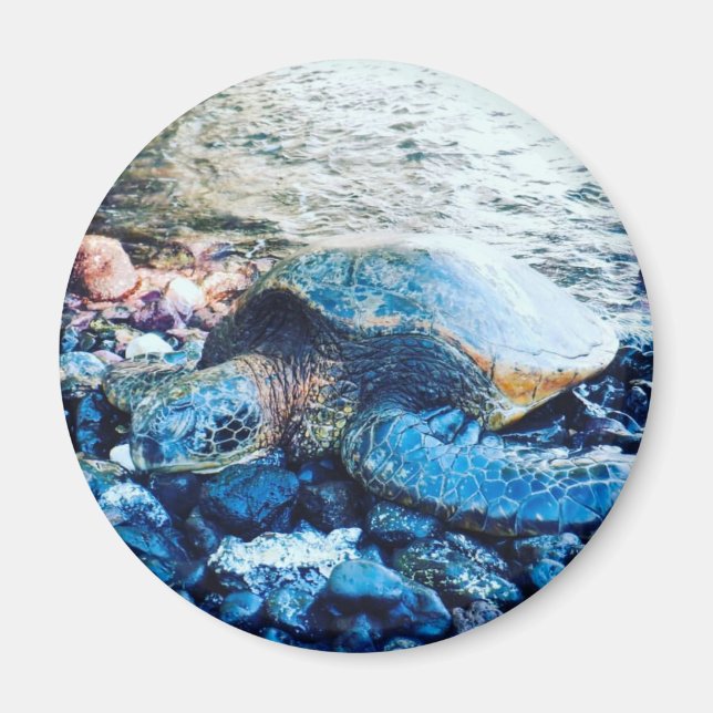 Aimant "Tortue dormante" (Devant)