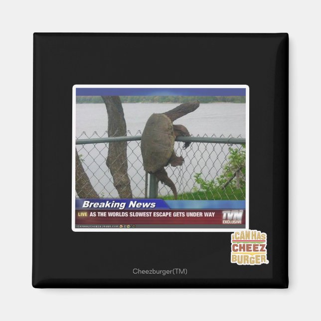 Aimant Tortue en voie de disparition (Devant)