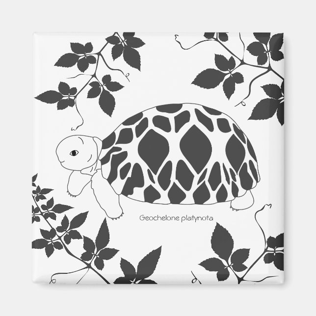 Aimant tortue étoile birman (feuille bw) (Devant)