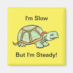 Aimant Tortue lente mais stable