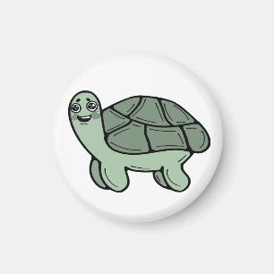 Aimant Tortue, Nature, Tortue