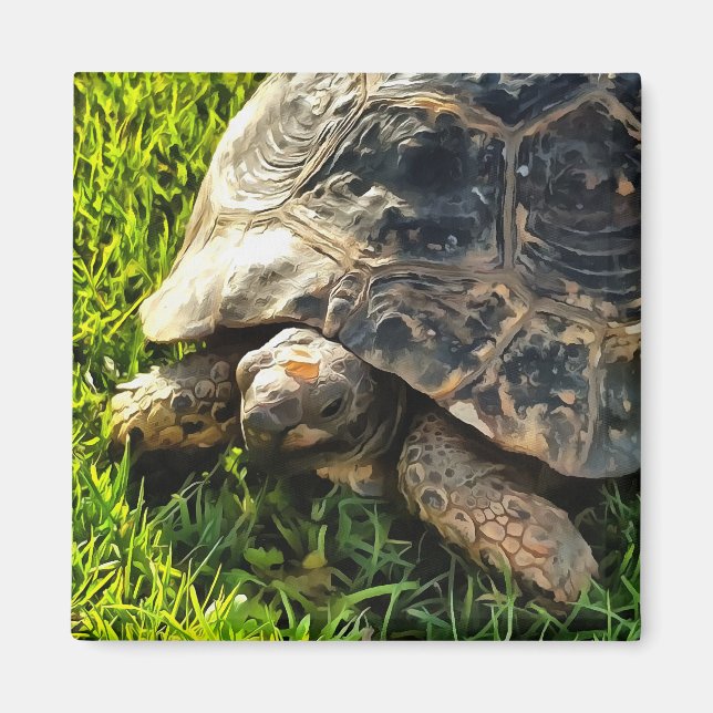 Aimant Tortue Sauvage Dans L'Herbe Pré Art De La Faune (Devant)