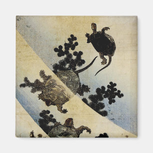 Aimant Tortues de natation