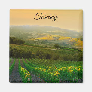 Aimant Toscane Italie Vignoble italien Photo