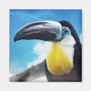 Aimant Toucan dans Misty Air