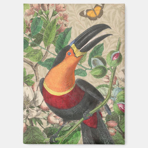 Aimant Toucan Jungle Oiseau Tropical Beau Antique