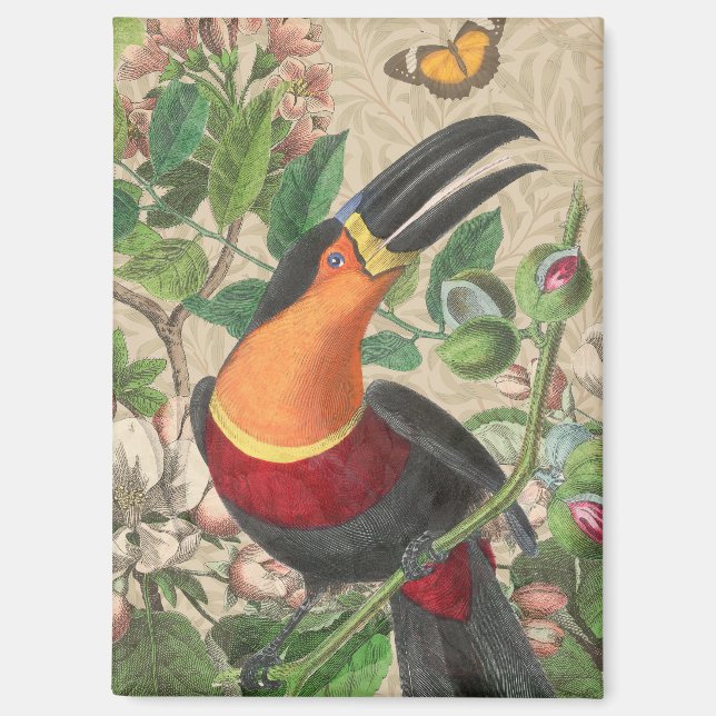 Aimant Toucan Jungle Oiseau Tropical Beau Antique (Recto)