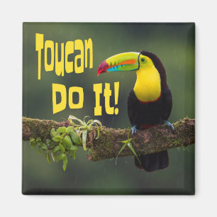 Aimant Toucan Le Fait ! Coloré Motivationnel Oiseau amusa