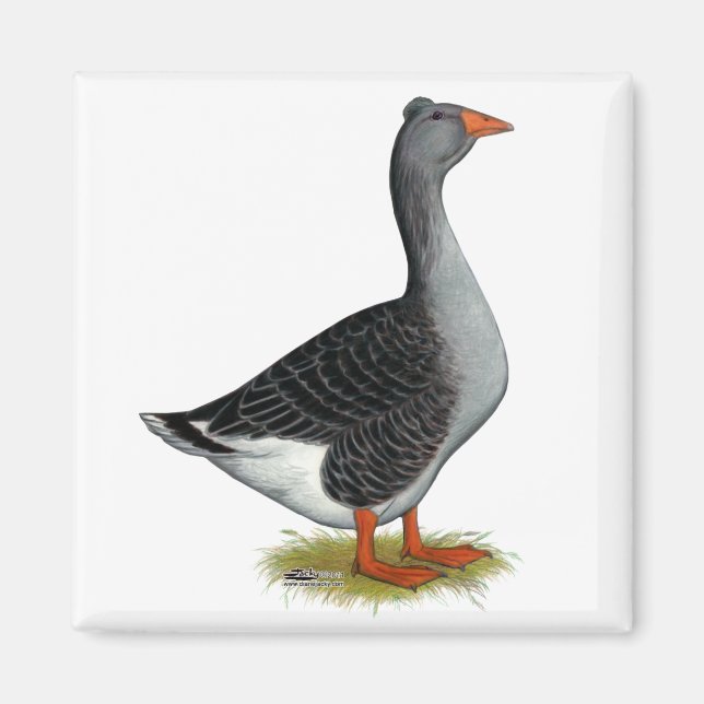 Aimant Toulouse Goose (Devant)