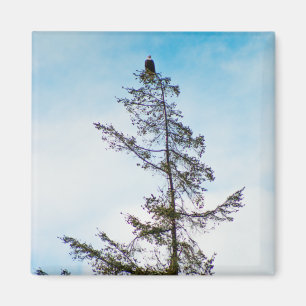 Aimant Tour de surveillance