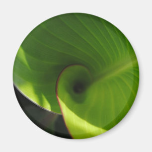Aimant Tourbillon de la feuille verte