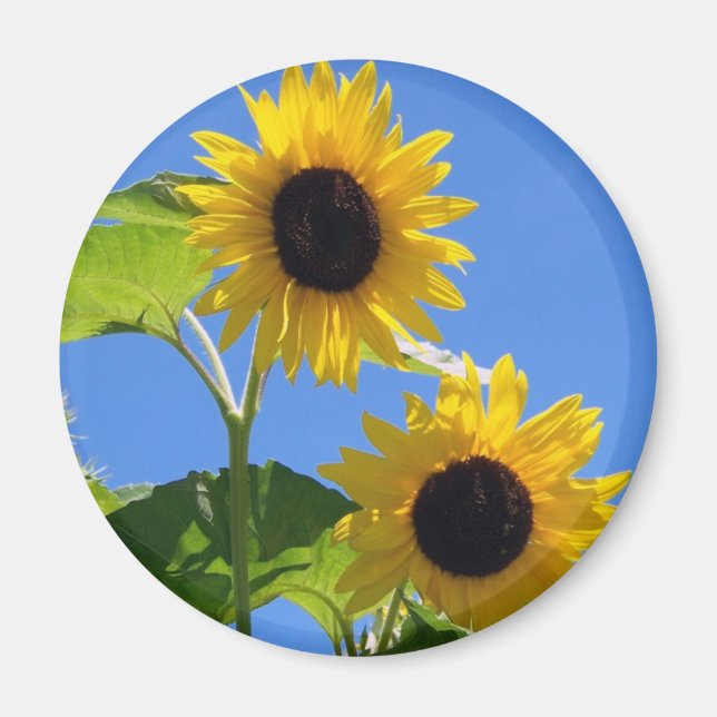 Aimant Tournesol (Devant)