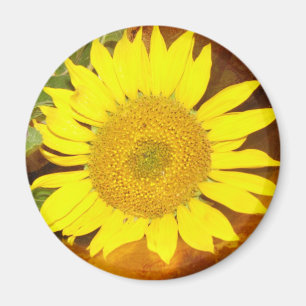 Aimant Tournesol