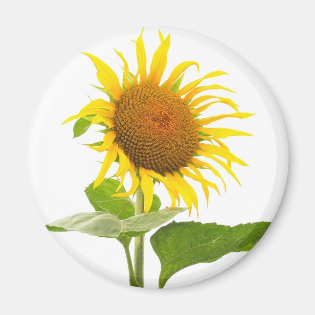 Aimant Tournesol (Devant)